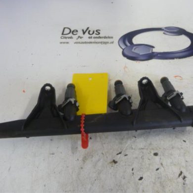 Peugeot 208  Injector (petrol injection) ZMZ 2013 9676017480