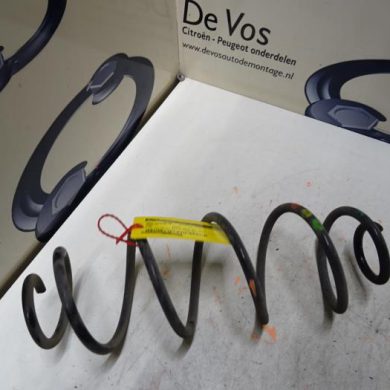 Peugeot 3008  Rear coil spring 2019 9815577980