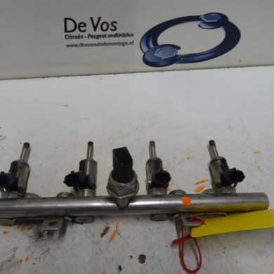 Peugeot RCZ  Injector (petrol injection) 5FU-5FU5F03 2011 1984H5-198553