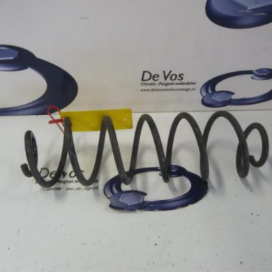 Citroen C4 Cactus 1.6 Blue Hdi 100 Schroefveer achter 2015 9809688280