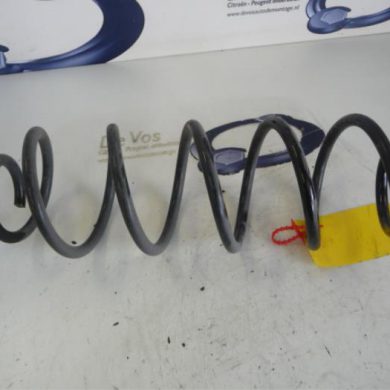 Citroen C4 Picasso 1.6 e-HDi 115 Schroefveer achter 2014 9804028180