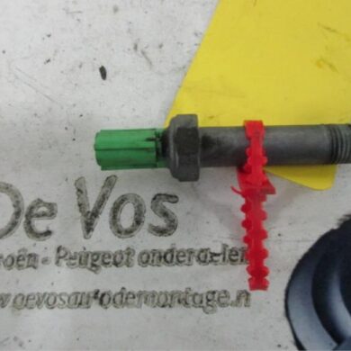 Peugeot 407  Oil pressure gauge 2007 1131H8