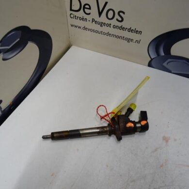 Citroen C5 2.0 HDiF 16V Verstuiver (diesel) RHR 2007 1980J6-1980Y7-1980E9