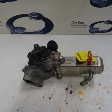 Peugeot Expert  EGR Klep RHH 2012 9678257280