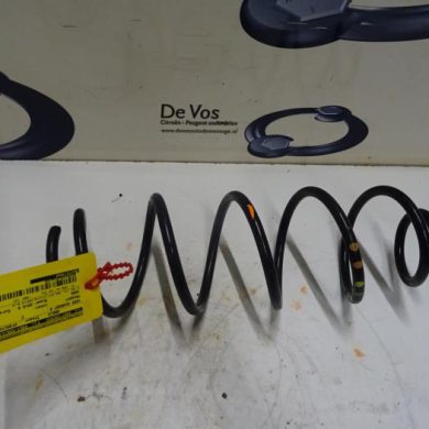 Peugeot 3008  Schroefveer achter 2018 9815577680