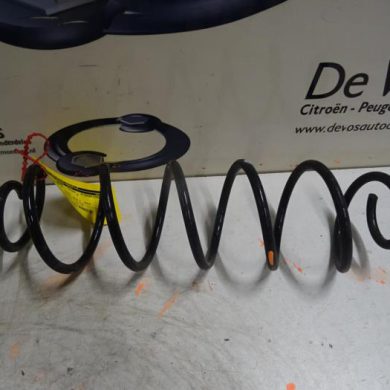 Citroen C4 Cactus  Schroefveer achter 2019 5102CT