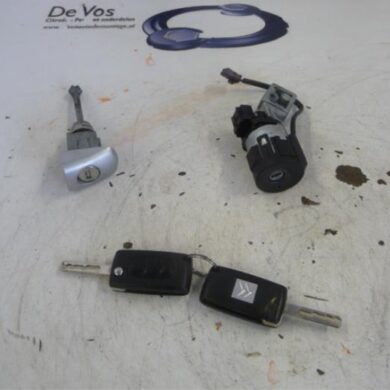 Citroen C4 Picasso  Slotenset Cilinder (compleet) 2009 4162KC