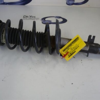 Citroen C3  Schokdemperpoot links-voor 2011 5208F8