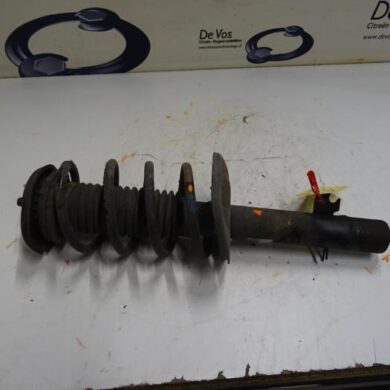 Peugeot 207  Front shock absorber rod, left 2008 5202YX