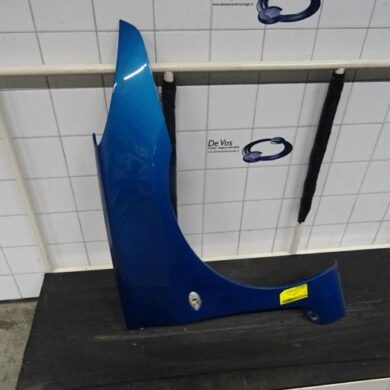 Peugeot 307  Scherm rechts-voor 2007 7841T2