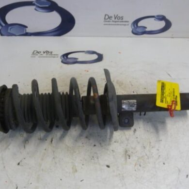 Peugeot 207  Front shock absorber rod, right 2007 5202YT