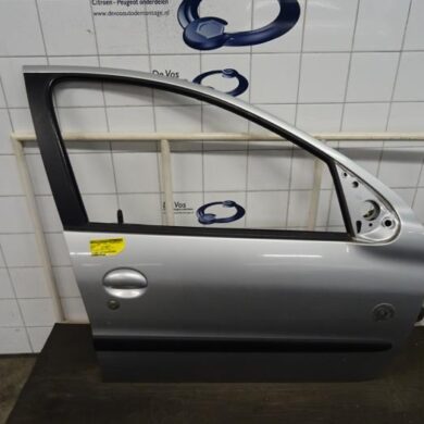 Peugeot 206  Front door 4-door, right 2005 9004K5
