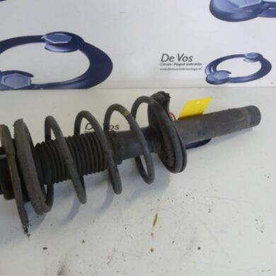 Peugeot 206 PLUS  Front shock absorber rod, left 2010 5202LV