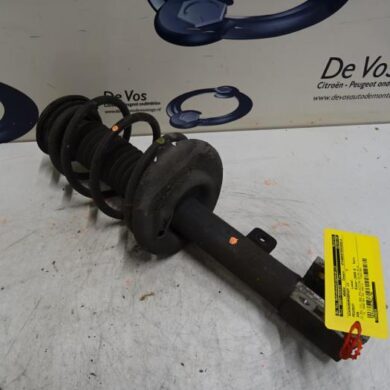 Peugeot 308  Front shock absorber rod, left 2009 5208E0-1623342280