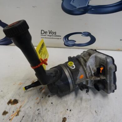 Peugeot 308  Power steering pump 5FS5F01 2009 400864