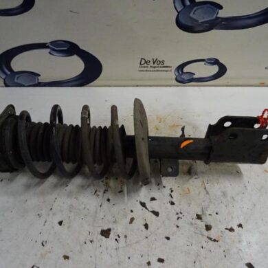 Citroen C4 Picasso  Schokdemperpoot links-voor 2014 1628564280-9810920480