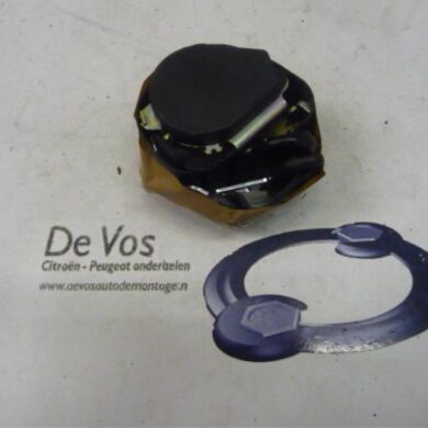 Peugeot 307  Veiligheidsgordel links-achter 2005 8973TB-8974JL