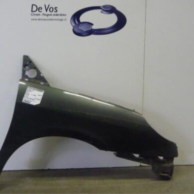 Peugeot 807 2.0 HDi 16V Scherm rechts-voor 2006 7841P0