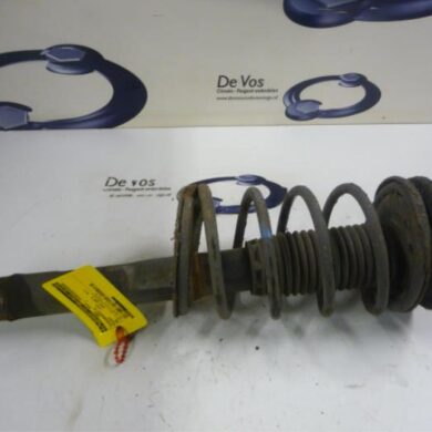 Peugeot 206 1.4 XR,XS,XT,Gentry Front shock absorber rod, right 2002 5202LW