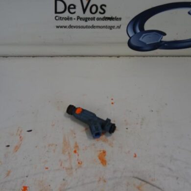 Peugeot 307  Injector (petrol injection) RFK 2004 1984F3