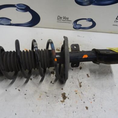 Peugeot 308  Front shock absorber rod, left 2016 1614380880-1628565580