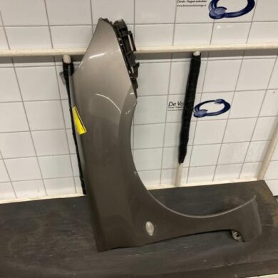 Peugeot 307 1.6 16V Scherm rechts-voor 2004 7841N7