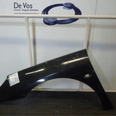 Peugeot 407 2.0 HDiF 16V Front wing, left 2007 7840P0
