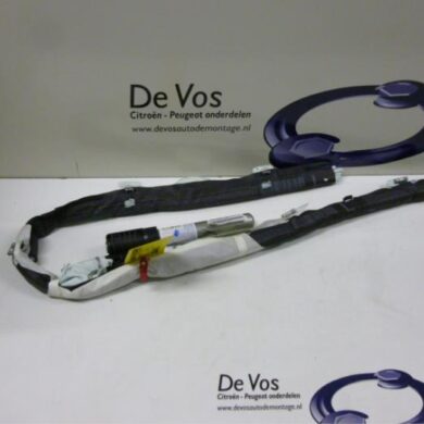 Citroen C4 Picasso 2.0 16V Autom. Hemel Airbag 2007 8216QV