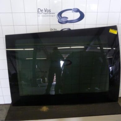 Citroen C3 Picasso  Schuifdak 2009 8401VZ