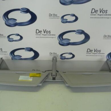 Citroen C4 Picasso 1.6 HDi 16V 110 Zonneklep 2009 8143XC-8154KA