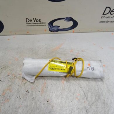 Peugeot iOn  Side Airbag 2012