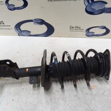 Citroen C4 Picasso  Schokdemperpoot links-voor 2016 9810920580-1628564380