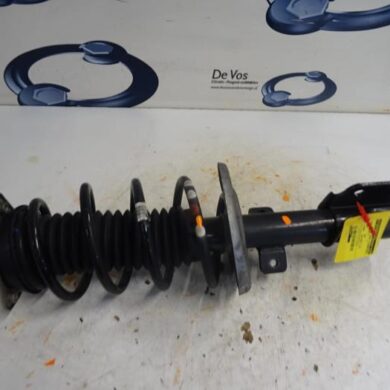 Citroen C4 Picasso  Schokdemperpoot links-voor 2015 9810920580-1628564380