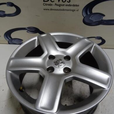 Peugeot 307  Velg 2004 5402N4
