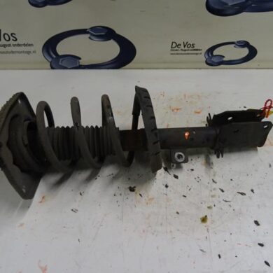 Citroen Jumpy  Front shock absorber rod, left 2014 5202WW-5208Q4