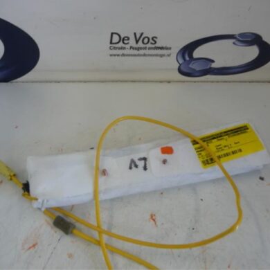 Peugeot iOn  Side Airbag 2011