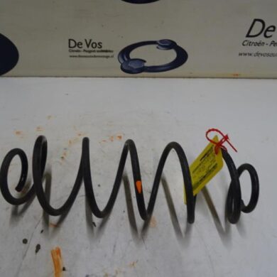 Citroen C3  Schroefveer achter 2017 9674667080