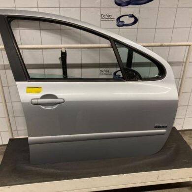 Peugeot 307 2.0 16V Portier 4Deurs rechts-voor 2004 9004S7