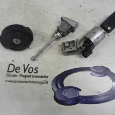 Peugeot 308  Set of cylinder locks (complete) 2009 4162KZ