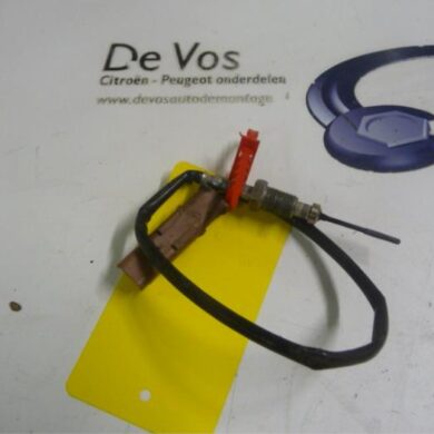 Citroen C3 Picasso 1.6 HDi 16V Sensor (overige) 2011 1618NF