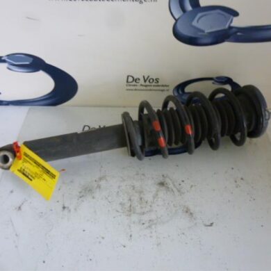 Peugeot 407  Front shock absorber rod, right 2006 5202PA