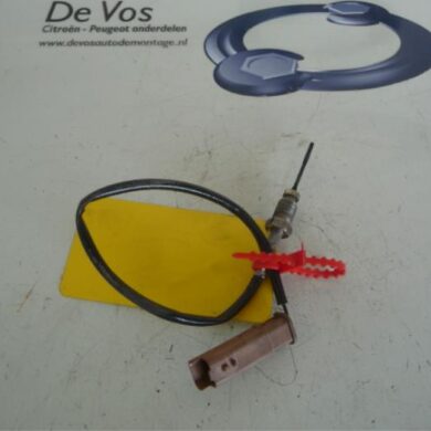 Citroen C3 Picasso 1.6 HDi 90 Sensor (overige) 2011 1618NF