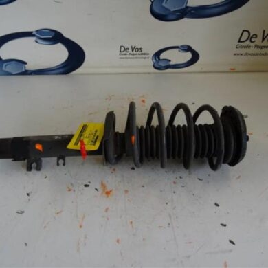 Peugeot 1007  Front shock absorber rod, right 2006 5202PX