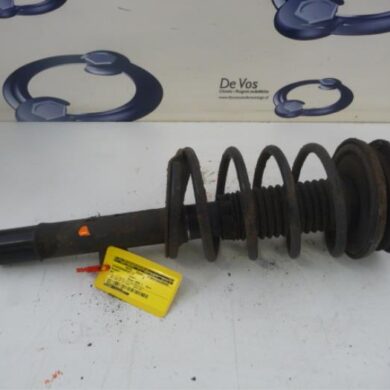 Peugeot 607 2.2 16V Front shock absorber rod, left 2003 5202AN