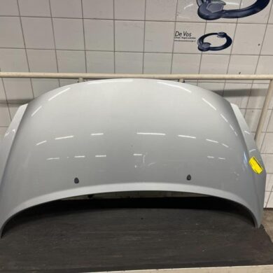 Peugeot 207 1.6 16V Bonnet 2009 7901N2