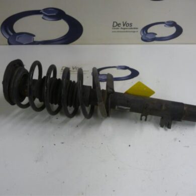 Citroen Pluriel  Front shock absorber rod, right 2006 5202KA