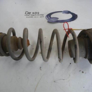 Peugeot Partner  Rear coil spring 2014 5102AA