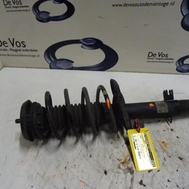 Citroen C3  Front shock absorber rod, left 2017 9812428780