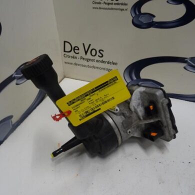 Peugeot 308  Power steering pump 5FV5F02 2010 4008G1-4008N7