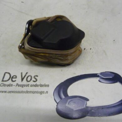 Peugeot 406 2.0 S,SL,ST,STX 16V Veiligheidsgordel links-achter 1996 8973S4